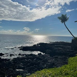 Meet your Posher, Rose